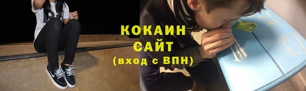 ПСИЛОЦИБИНОВЫЕ ГРИБЫ Алзамай