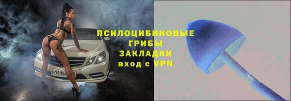 ПСИЛОЦИБИНОВЫЕ ГРИБЫ Алзамай