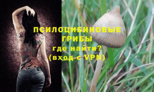 амф Абдулино