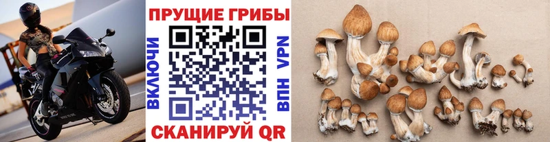 Галлюциногенные грибы ЛСД  Егорьевск 